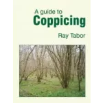 A Guide to Coppicing