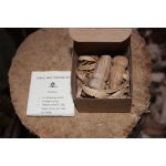 Birch Tree Tapping Kit