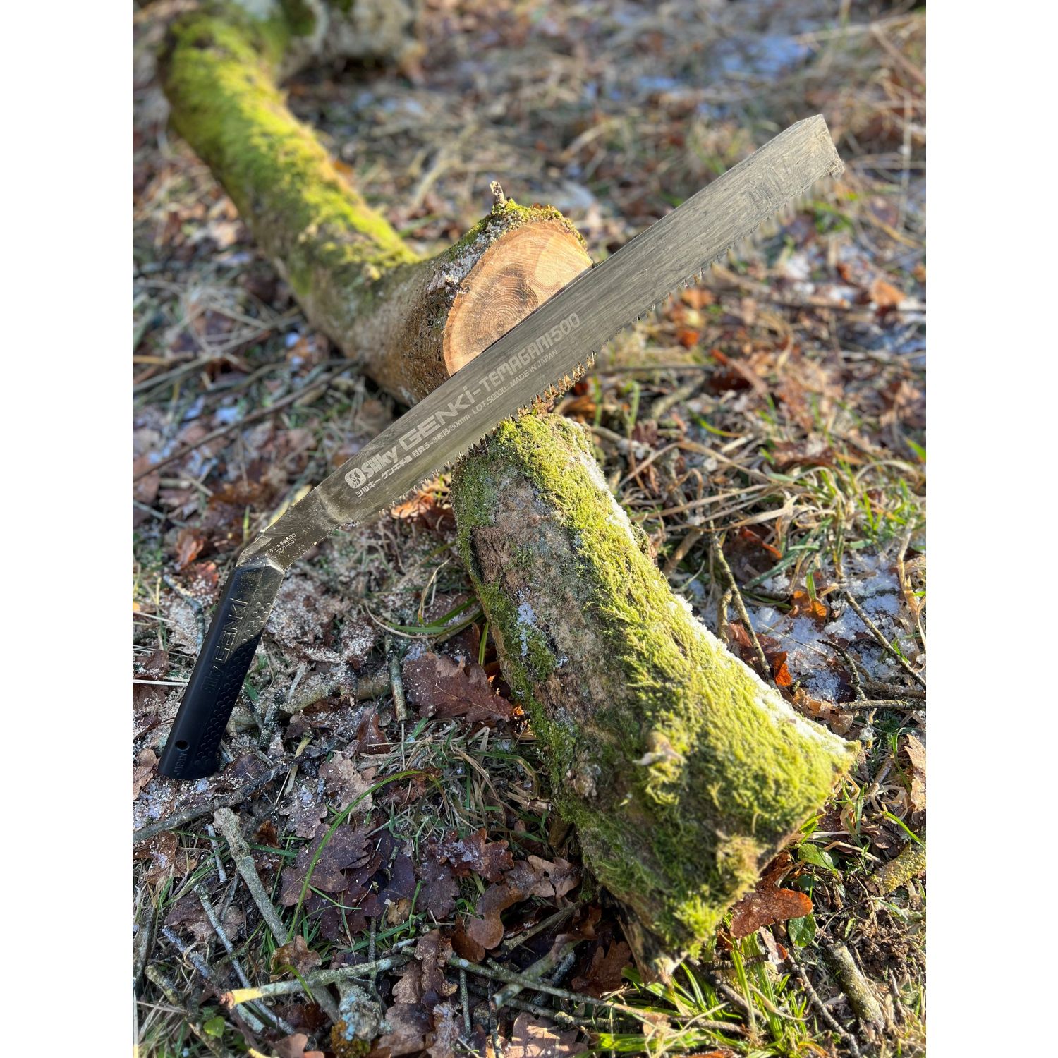 Silky Genki Temagari 500 | Woodsmith