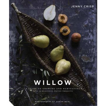Willow by Jenny Crisp