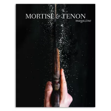 Tenth Anniversary Issue (Issue X)