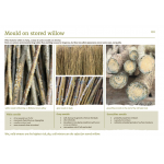 Willow to Weave by Rachel Hutton