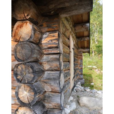 Today, we came across some beautiful reconstructed examples of shelters in Nord Østerdal once used by forestry workers and charcoal burners supplying the copper smelting houses around Røros from the 17th to 20th centuries.

Simple timber shelters, known as «Ljørbuer», featured a central brick platform for a hearth, lighting the space and providing warmth. The open roof hole, or 'ljorn,' allowed heat to escape (and sometimes smoke to reenter). I absolutely love the aesthetic of this roundwood build. 

Most common for the charcoal burners watching the kiln were these «jordkoier» earthen huts. These seemingly primitive structures were built against a frame of thin tree trunks, either cone or boat-shaped. Exteriors were insulated with fir bark or knots and layered with peat soil. Inside, there was often a small fireplace and simple seating, with a wooden plank for a door. 

#charcoalburning #nordøsterdalen #ljørbua #jordkoie #norsknatur #logbuilding #kølbrenning