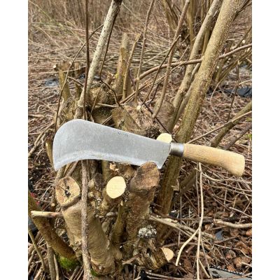 We spent a lovely day coppicing hazel last weekend with the North East APT group at @sylvanskills hazel plot 🌿

Excitingly, we also had the opportunity to test drive the final prototype of this Newtown Pattern billhook - a tool we’ve spent a good part of the last year co-developing with UK toolmaker, Ray Iles. It boasts excellent balance and weight, and its long, gently convex equal bevels, combined with high carbon steel construction, ensure it maintains an exceptional edge. Both Izzy and I interchanged between Morris of Dunsford and Bulldog billhooks throughout the day, and found this billhook to have the best weight behind it for the job. 

Ever since the closure of Morris of Dunsford, there’s been a noticeable gap in the market for high-quality, reliable British-made billhooks. Billhooks for coppicing and traditional woodland craft is an endangered tool, if our craft is to survive and thrive we need good quality durable tools for key tasks. Whilst only small, we’re thrilled to be able to do our part in developing and testing these tools and bringing them to the market for more people to enjoy and use.

Available now at woodsmith.co.uk 

#woodsmith #coppice #hazelcoppice #billhook #hedgelaying